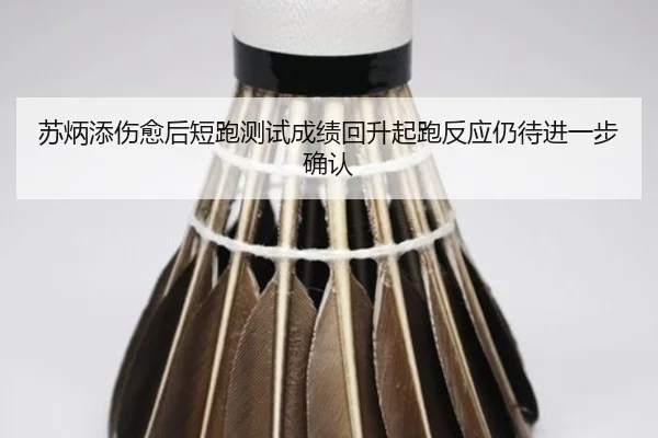 苏炳添伤愈后短跑测试成绩回升起跑反应仍待进一步确认